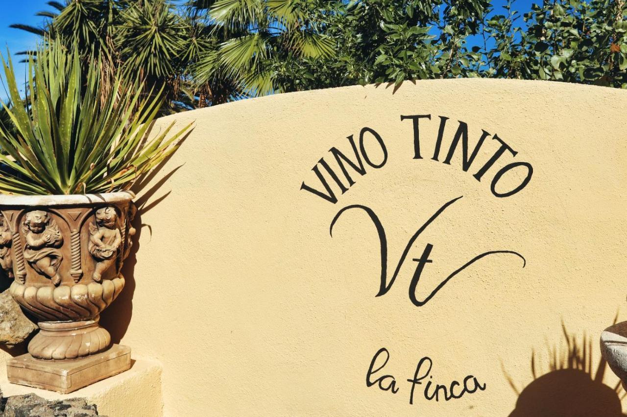 Finca Vino Tinto 5S Icod De Los Vinos Buitenkant foto